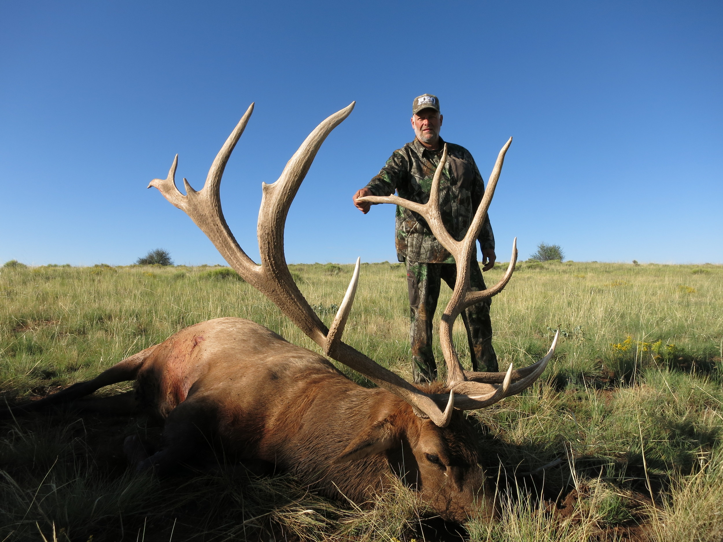 Arizona Elk Units - ufx5pj9
