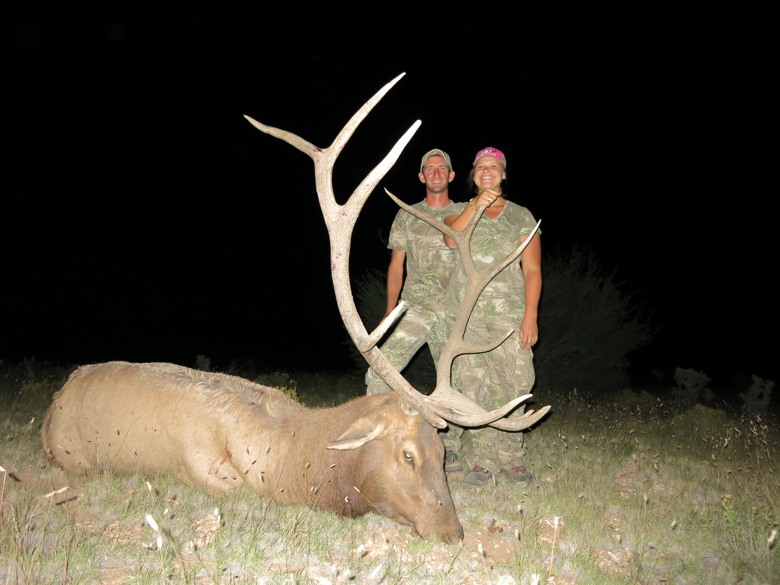 Arizona Elk Units - qgkjv9w