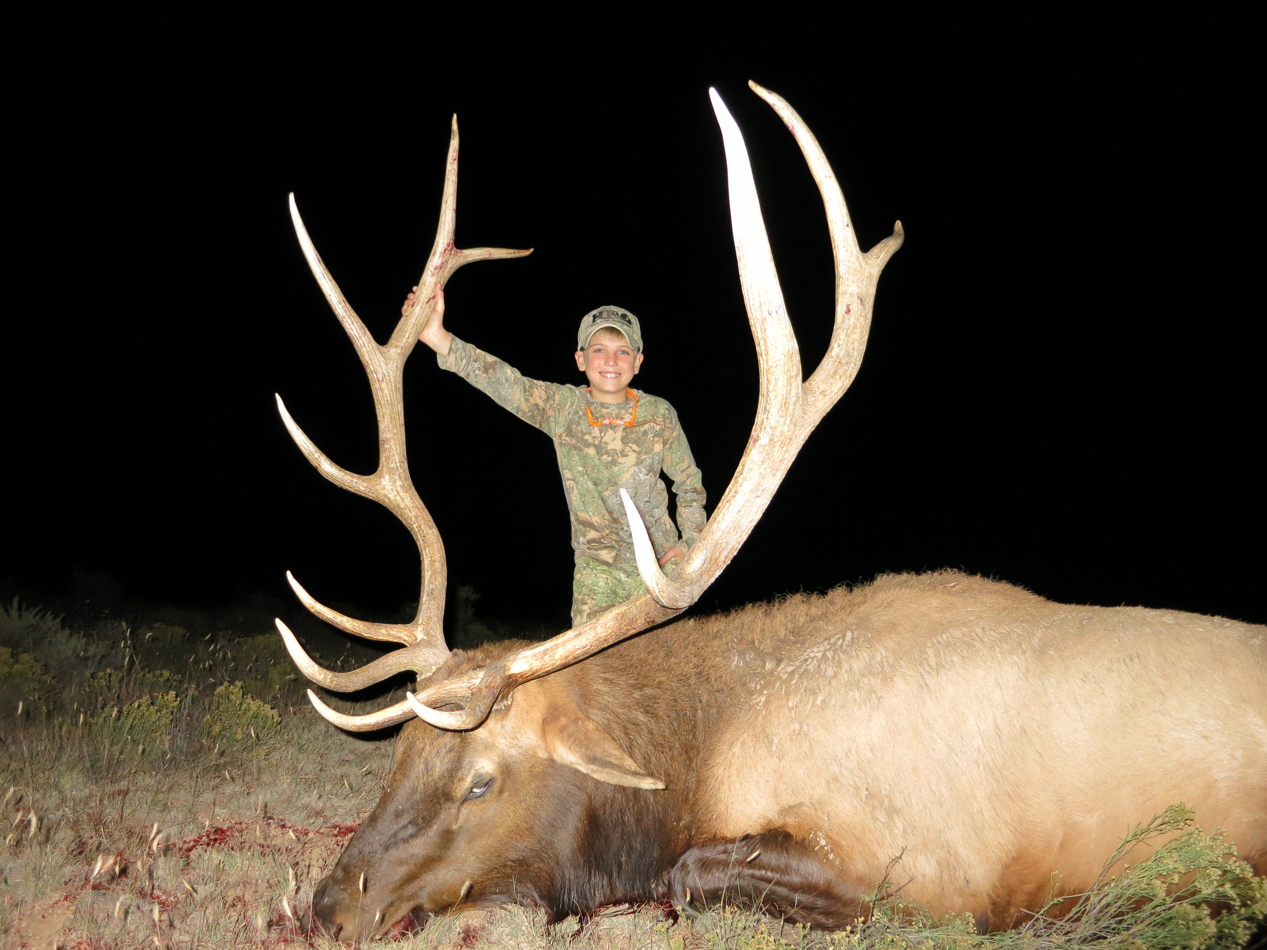 Arizona Elk Units - wswlqeu