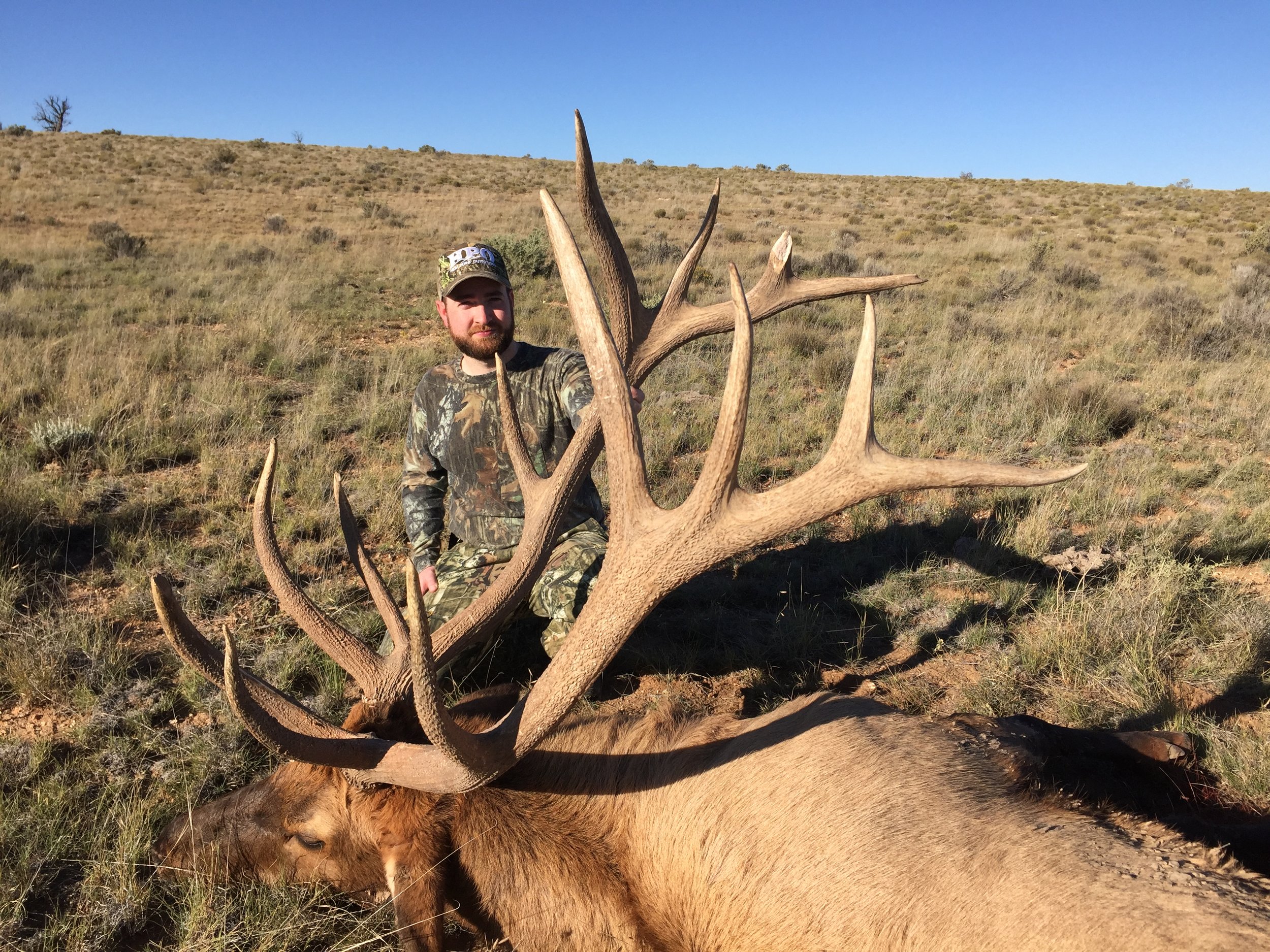Arizona Elk Units - 4iyioo5