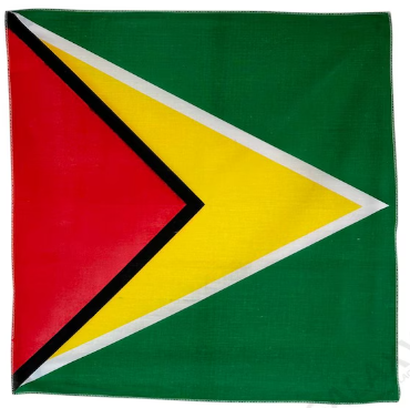 Guyana Bandana / Guyana Flag Bandana