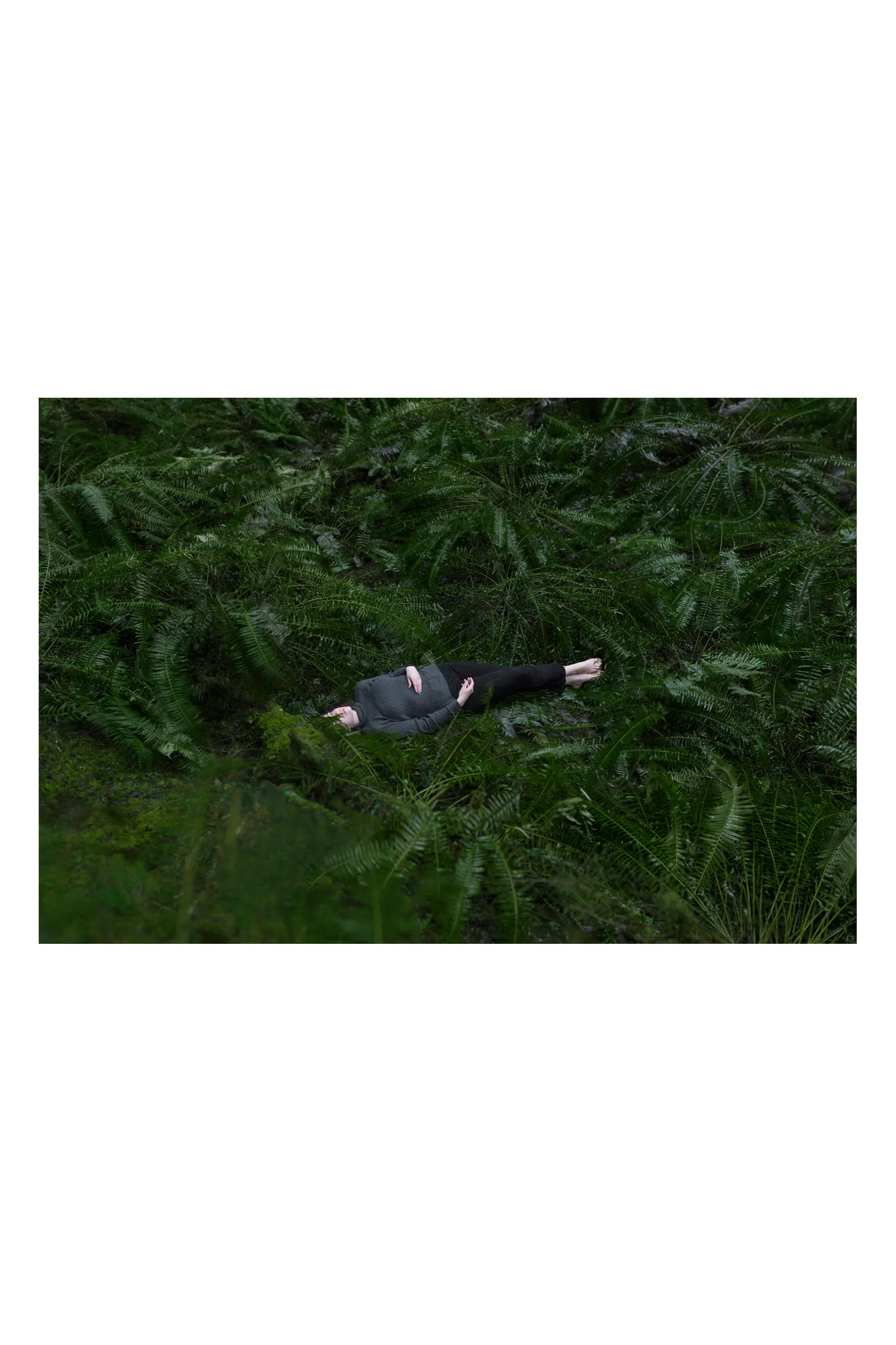 for web.jpg