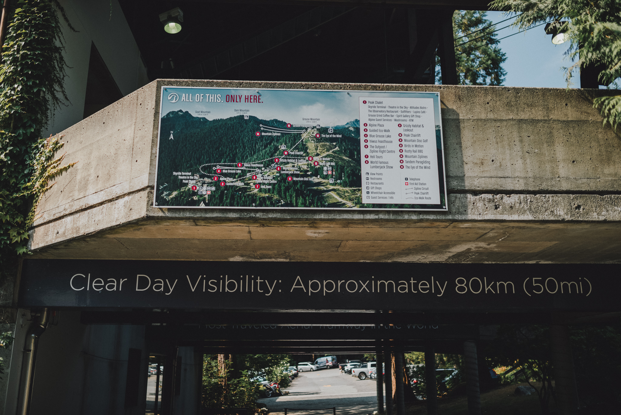 thekoebels-grouse-mountain-wedding (17 of 110).jpg