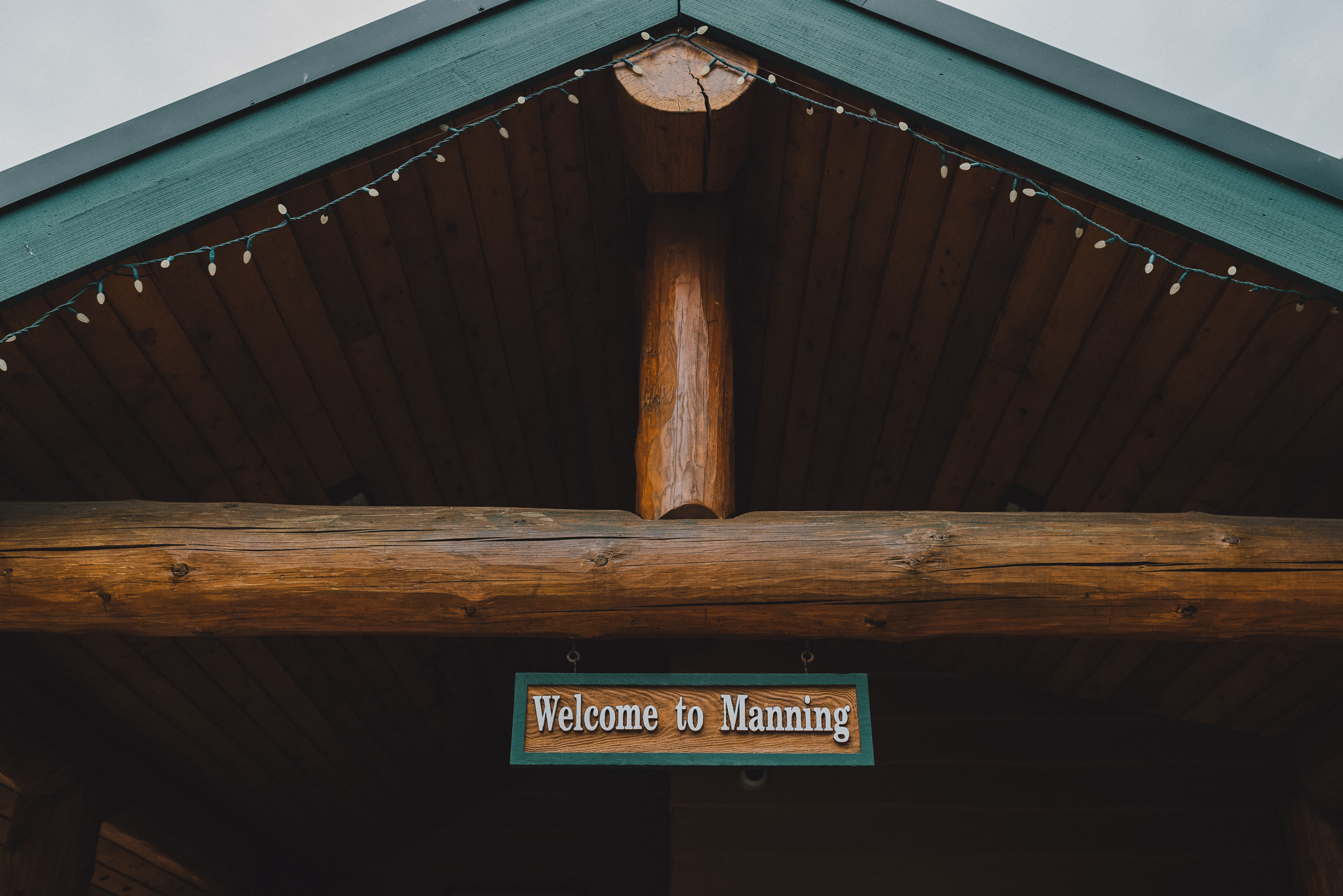 thekoebels-manningpark-mountain-wedding (2 of 110).jpg