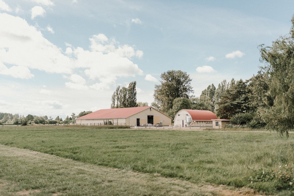 romantic-barn-wedding-brianick-50.jpg