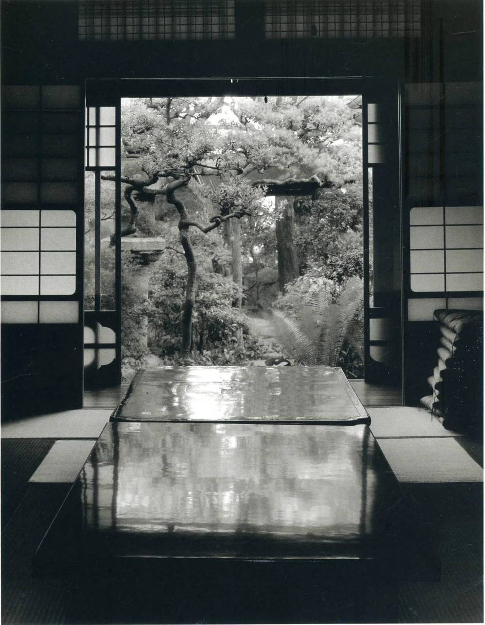 firsttimeuser:

undr:

Magic Garden, Aichi-ken, Linda Butler

Linda Butler. Rural Japan: Radiance of the Ordinary.
(gallery)