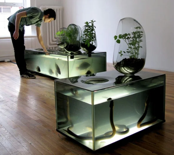 plantsaretakingover:
mildly terrifying but fabulous aquaponics:
‘local river’ by duende studio / mathieu lehanneur.