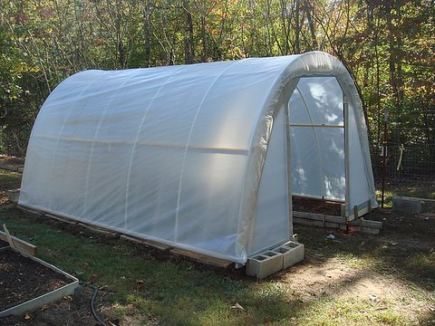 beccariane:

How to build My 50 Dollar Greenhouse » The Door Garden
New Project!