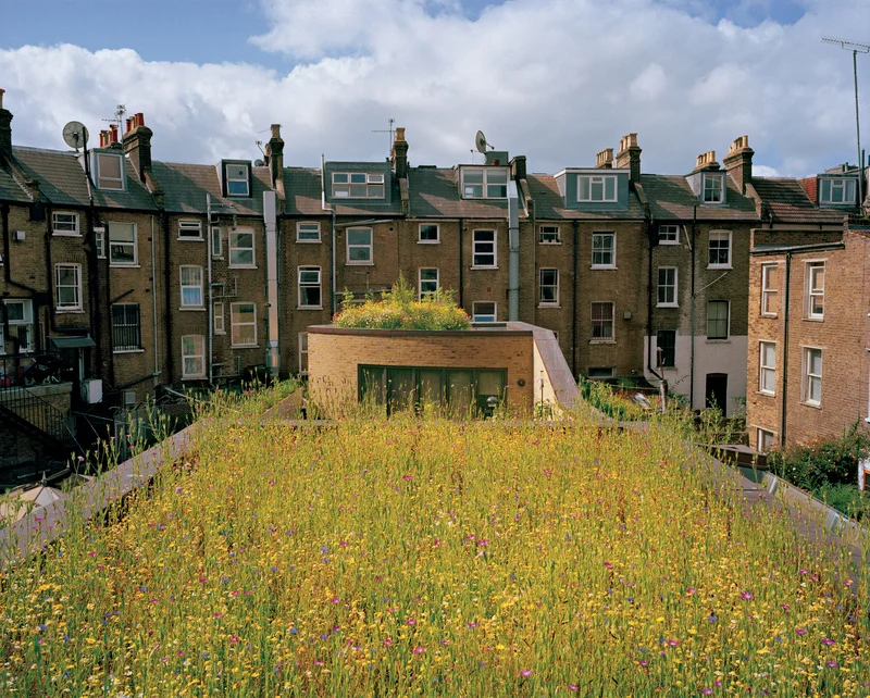 urbangreens:
“The windows of these traditional London row houses once opened onto a decrepit sausage factory. Now residents face a wildflower meadow blooming on top of architect Justin Bere’s new home. Insulation provided by the green roof helps ma…