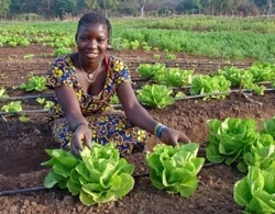 annaovchinnikova:
poptech:
Our friends at Solar Electric Light Fund (SELF) have pioneered the combination of solar water pumping and drip  irrigation to create the Solar Market Garden. This two-village project  demonstrates a reliable, economical …