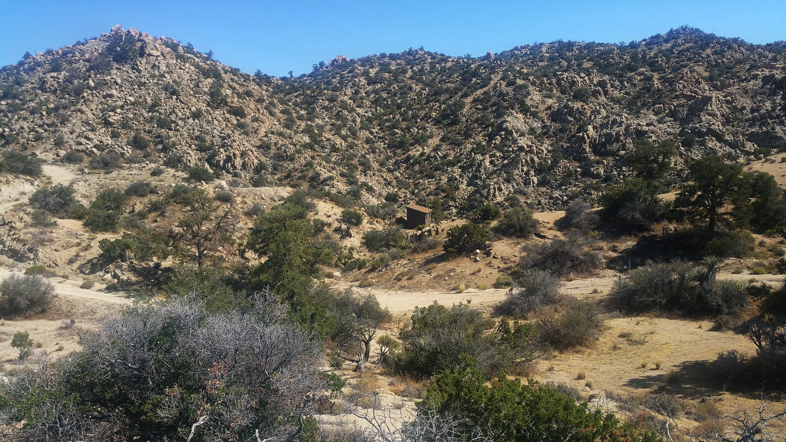 20160529_153645corrected.jpg
