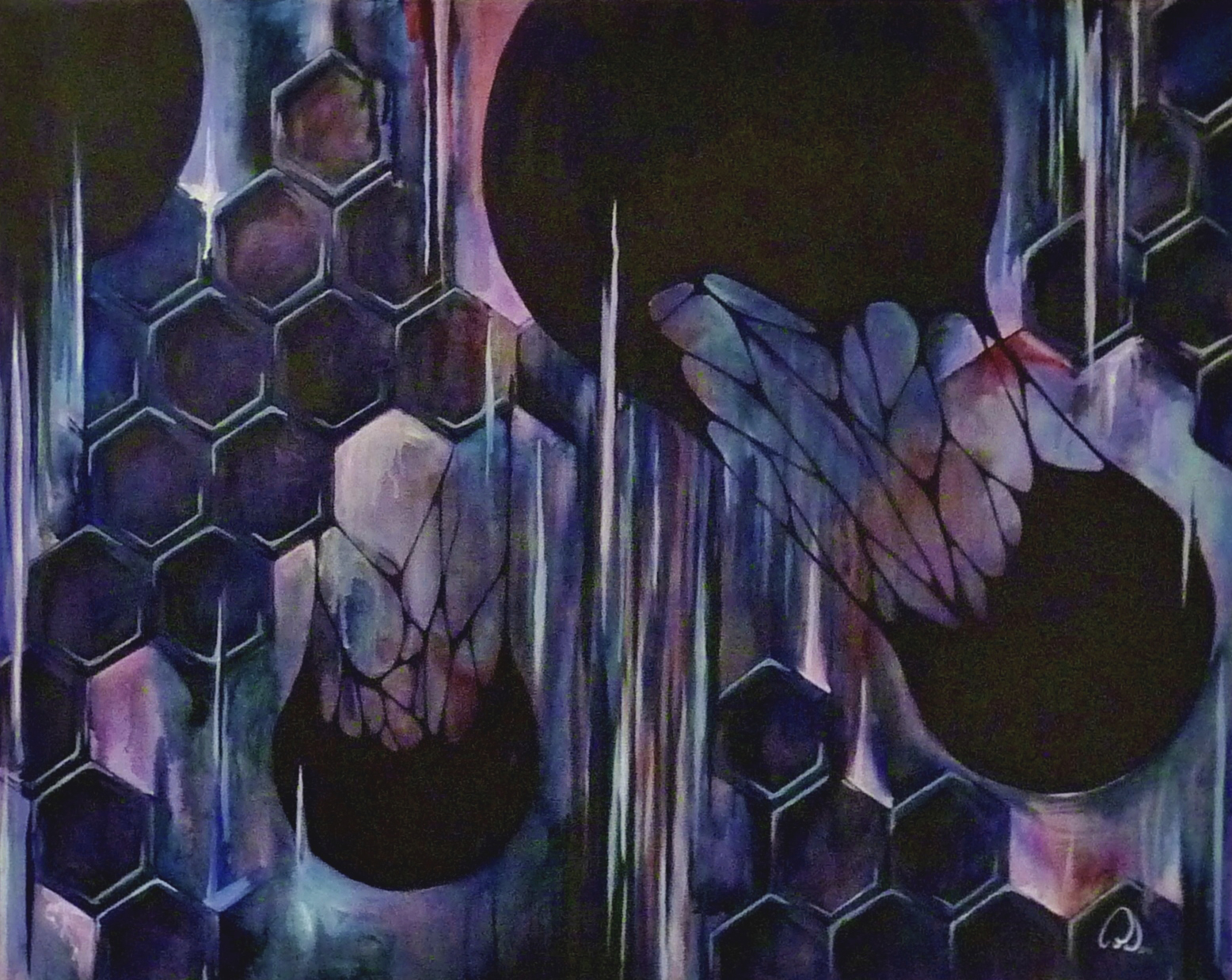 Iris