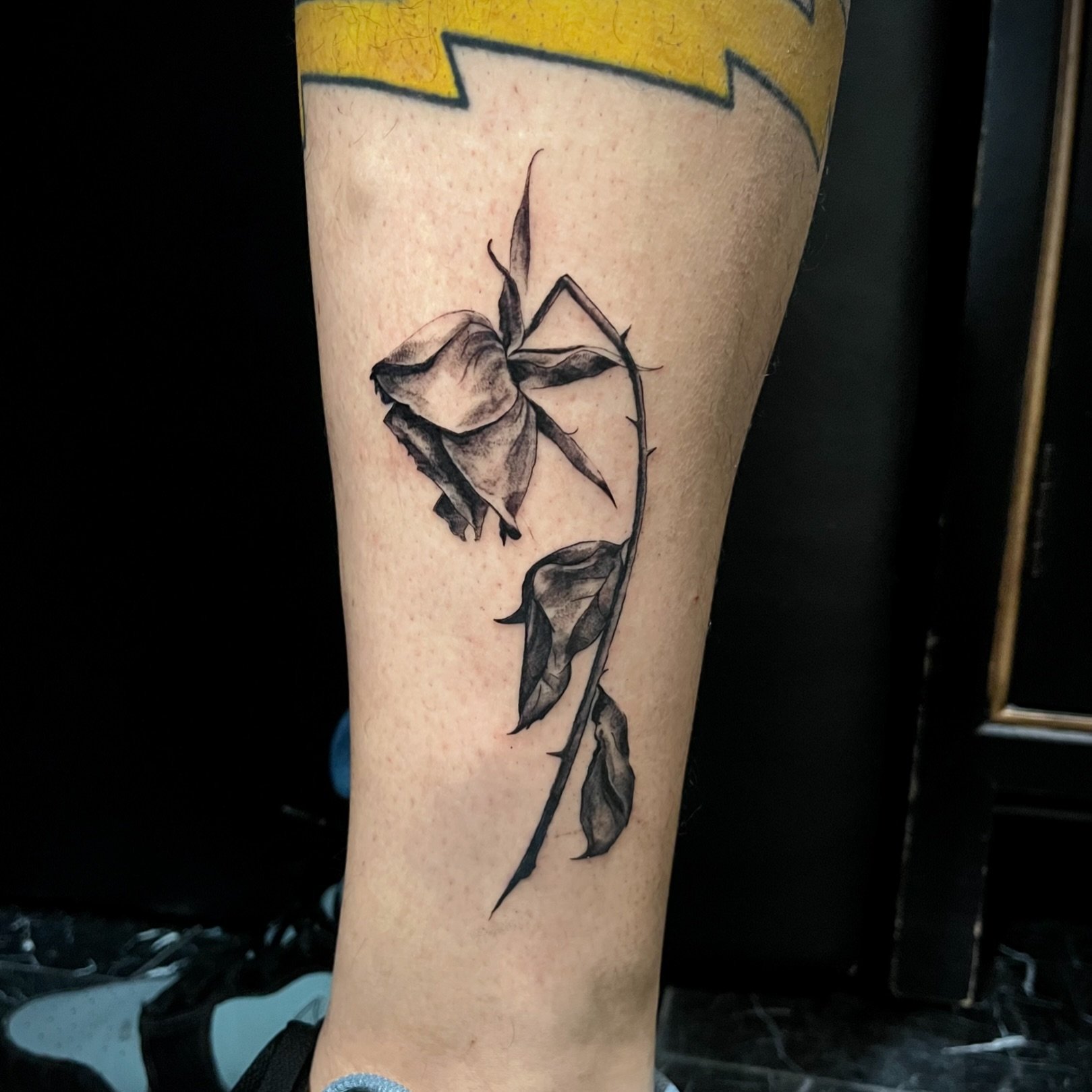 wilted rose for Chris from the other day. What a fun walk in request! Thank you!
@firstclassnyc st