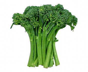 broc image.jpg