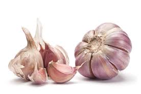 garlic image.jpeg