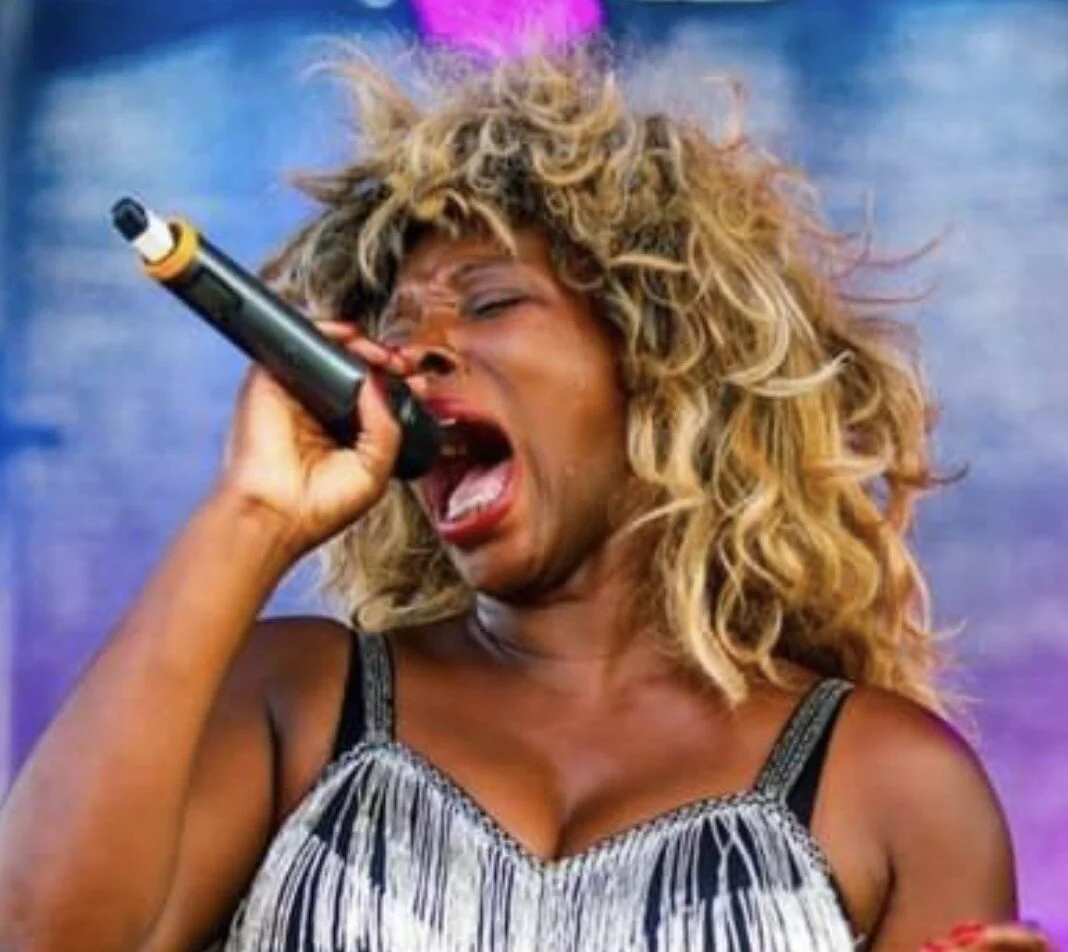 Tina Turner Tribute SAAS (4).jpg