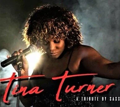 Tina Turner Sass Brown (3).jpg