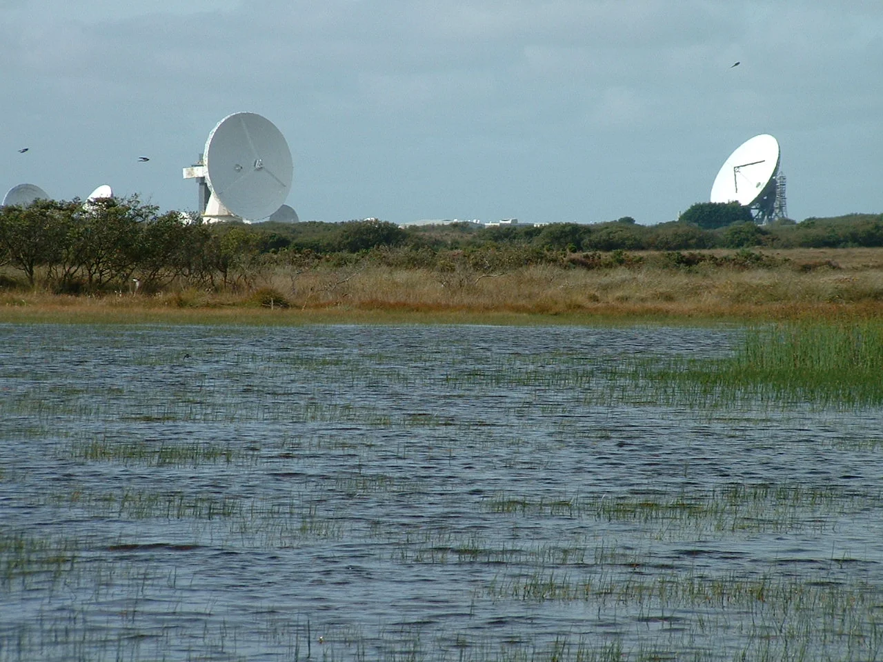 ET Croft Pascoe Pool & Goonhilly.jpg