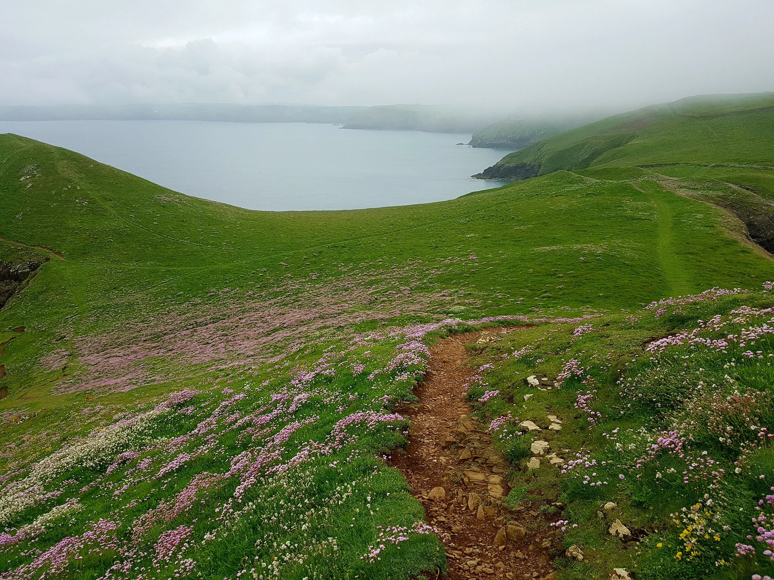 Cornwall is home to the largest number of the nation’s coastal forts, such as this spectacular site on the SW Coastal Path at the Rumps, near Polzeath