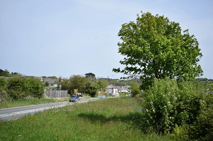 A road verge in spring (left) and in summer after cutting (right), just outside of Blackwater.