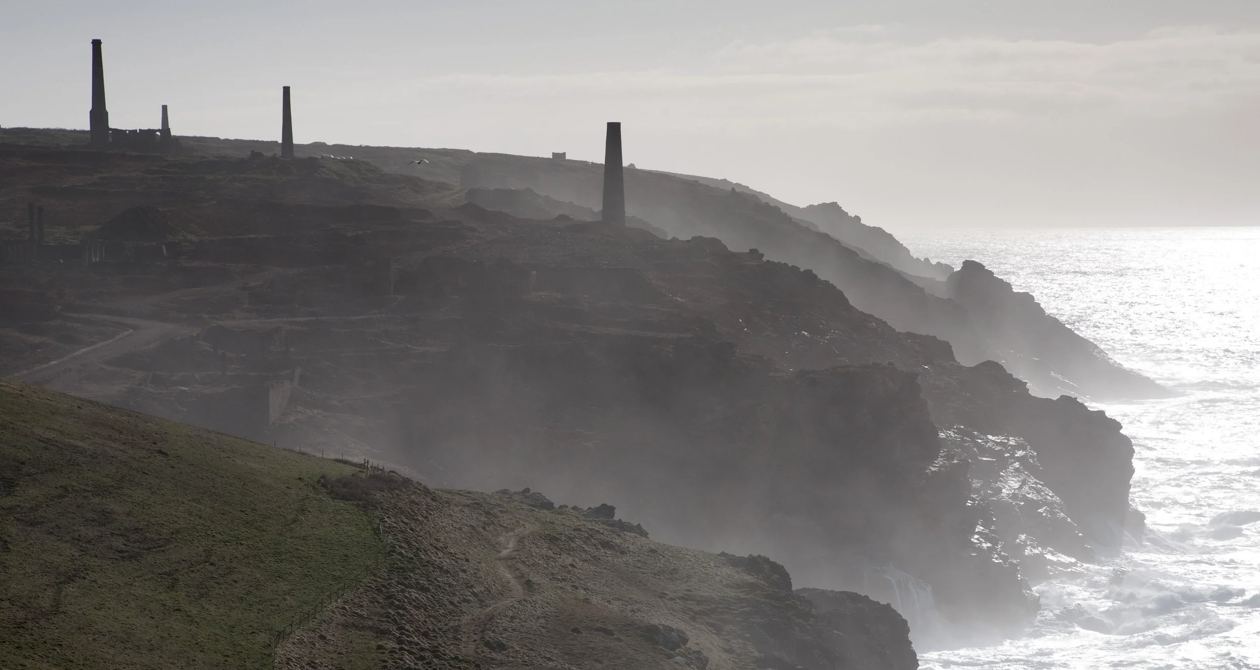 Replacement for West Penwith stag_photo by Philip White.jpg