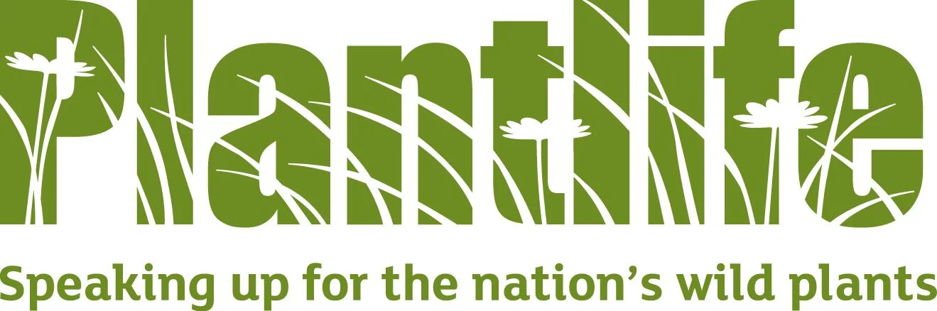 Plantlife logo.jpg