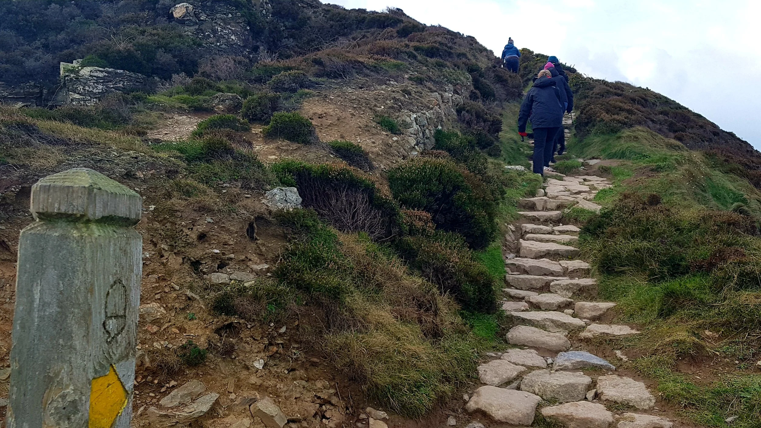 Our St Agnes Bee Healthy Walkers enjoying the stunning route along the coast from Trevaunance Cove