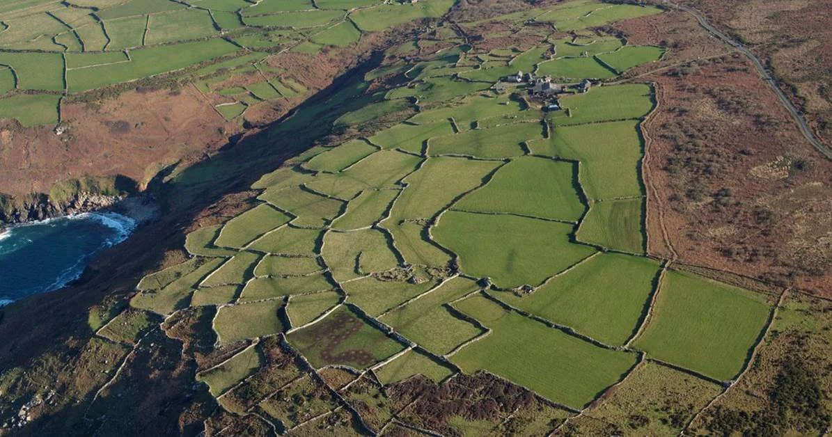 Cornish hedges are a vital ingredient of what makes the Cornwall AONB landscape so special