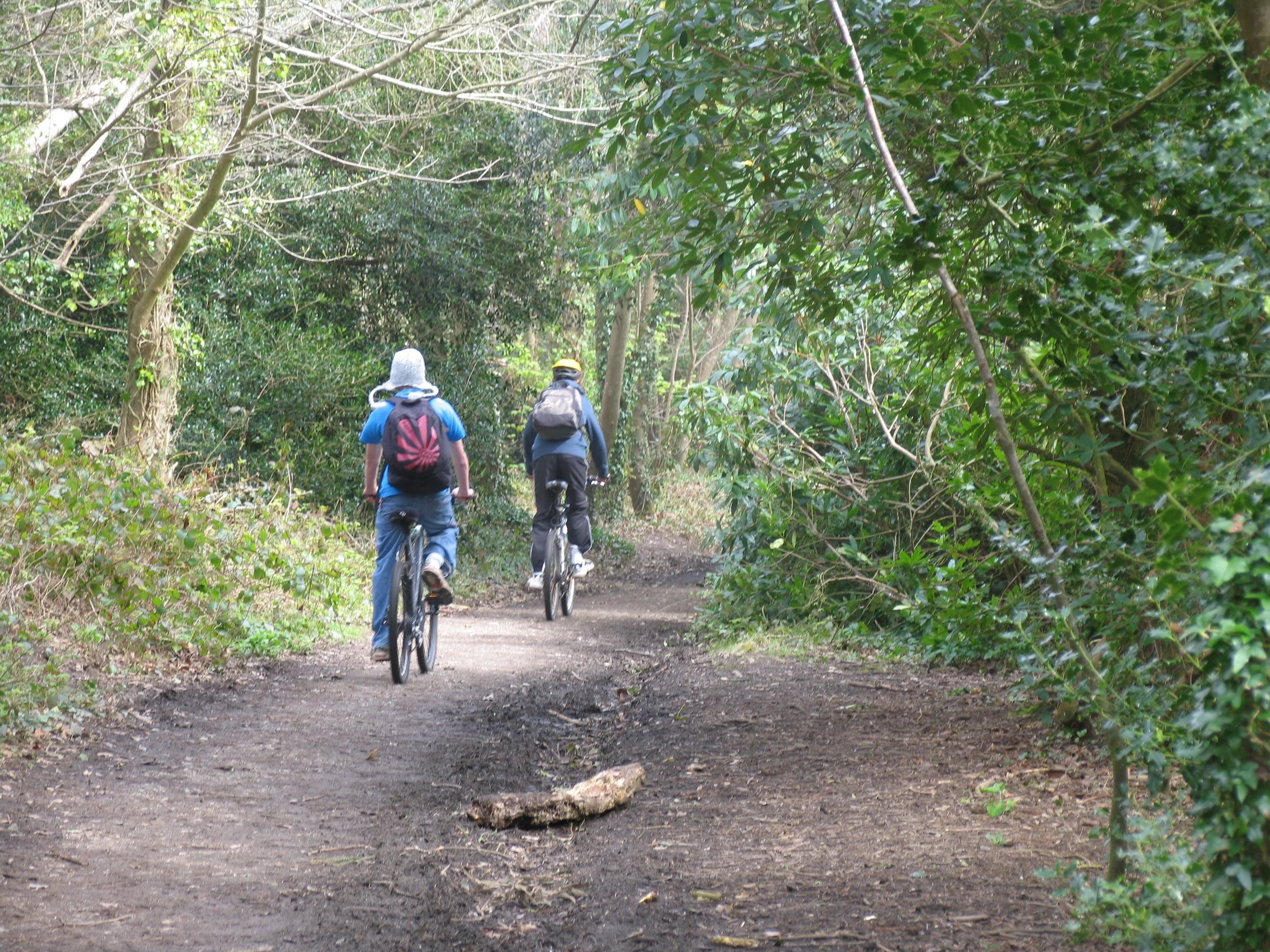 Cyclists in Tehidy Country Park