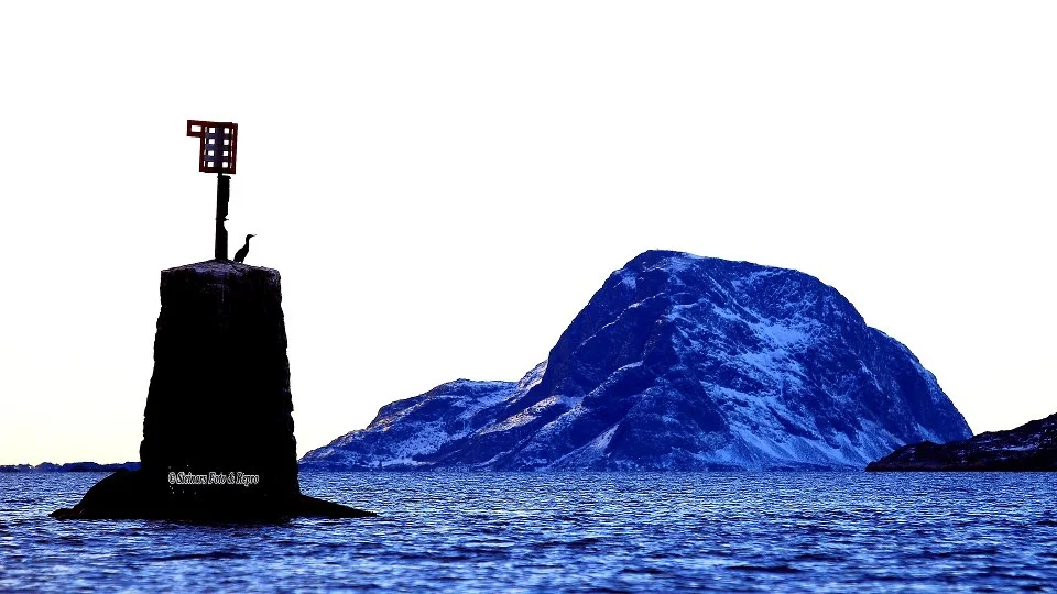 Nordsjøporten 2013-1.jpg