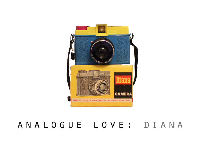 analogue love2