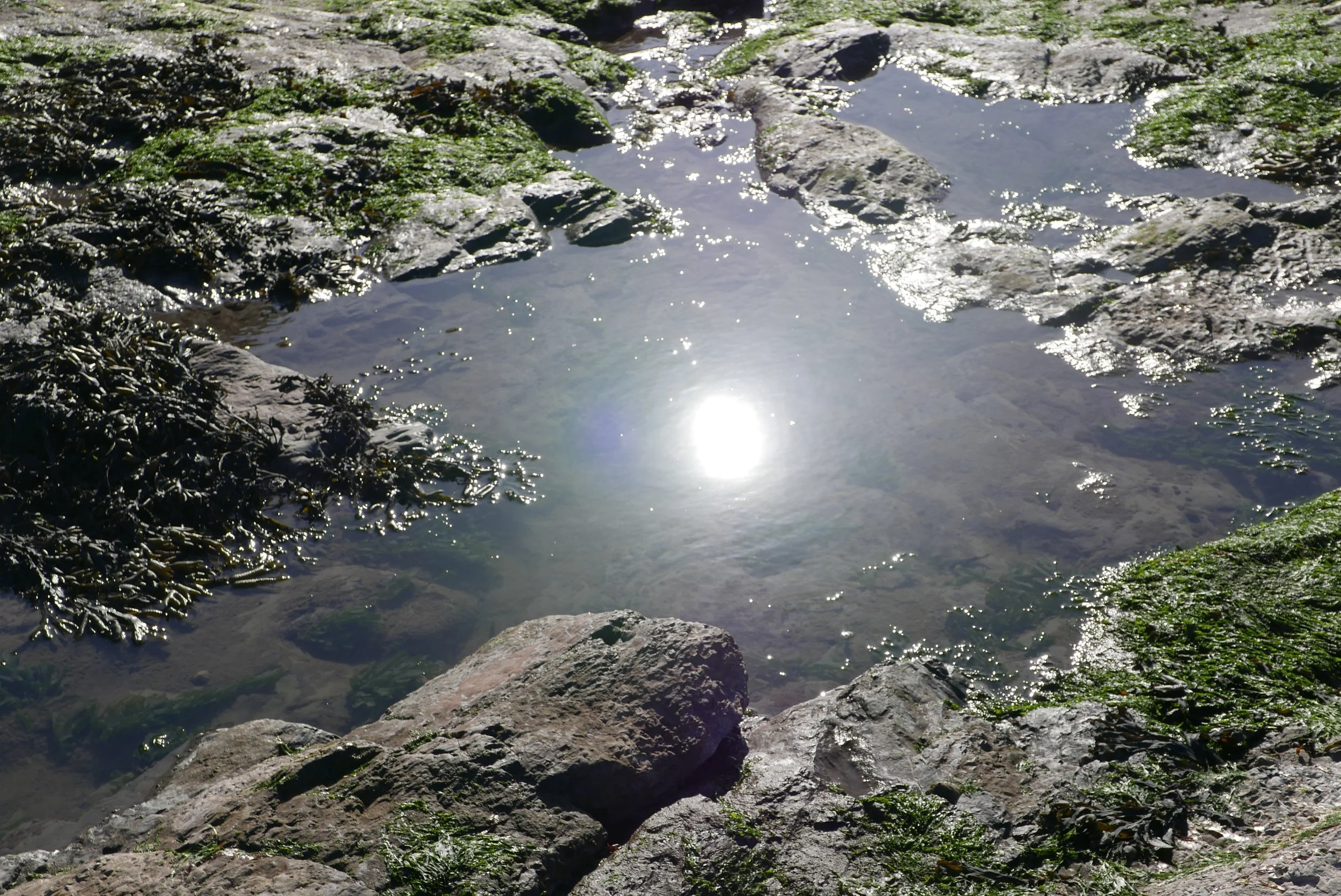 _1110562.jpg