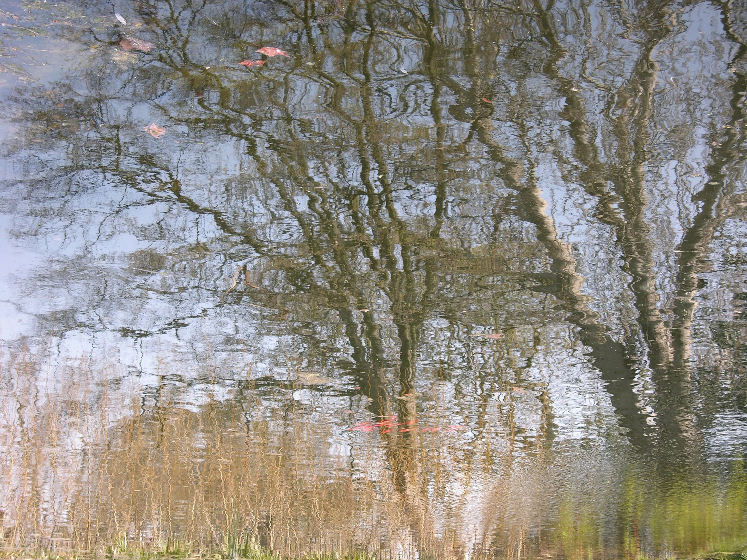 01.04.07.jpg
