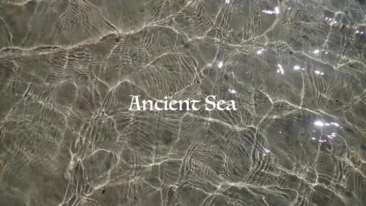 I&rsquo;m delighted that &lsquo;Ancient Sea&rsquo; will be screened tomorrow evening as part of @somerset.film Film Night. Part of a twice yearly event where Somerset film makers gather to screen and share moving image work, from a variety of genres.