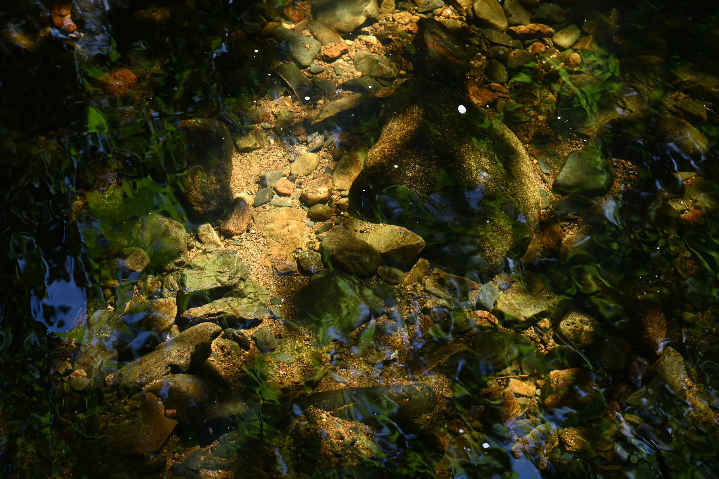 river3.jpg
