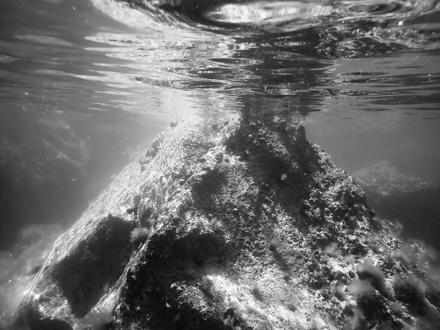 Surreal, lunar like &lsquo;mountains&rsquo; discovered on recent underwater shoot for &lsquo;Tide&rsquo; (2018-2026). Chesil, July 2026 #tide