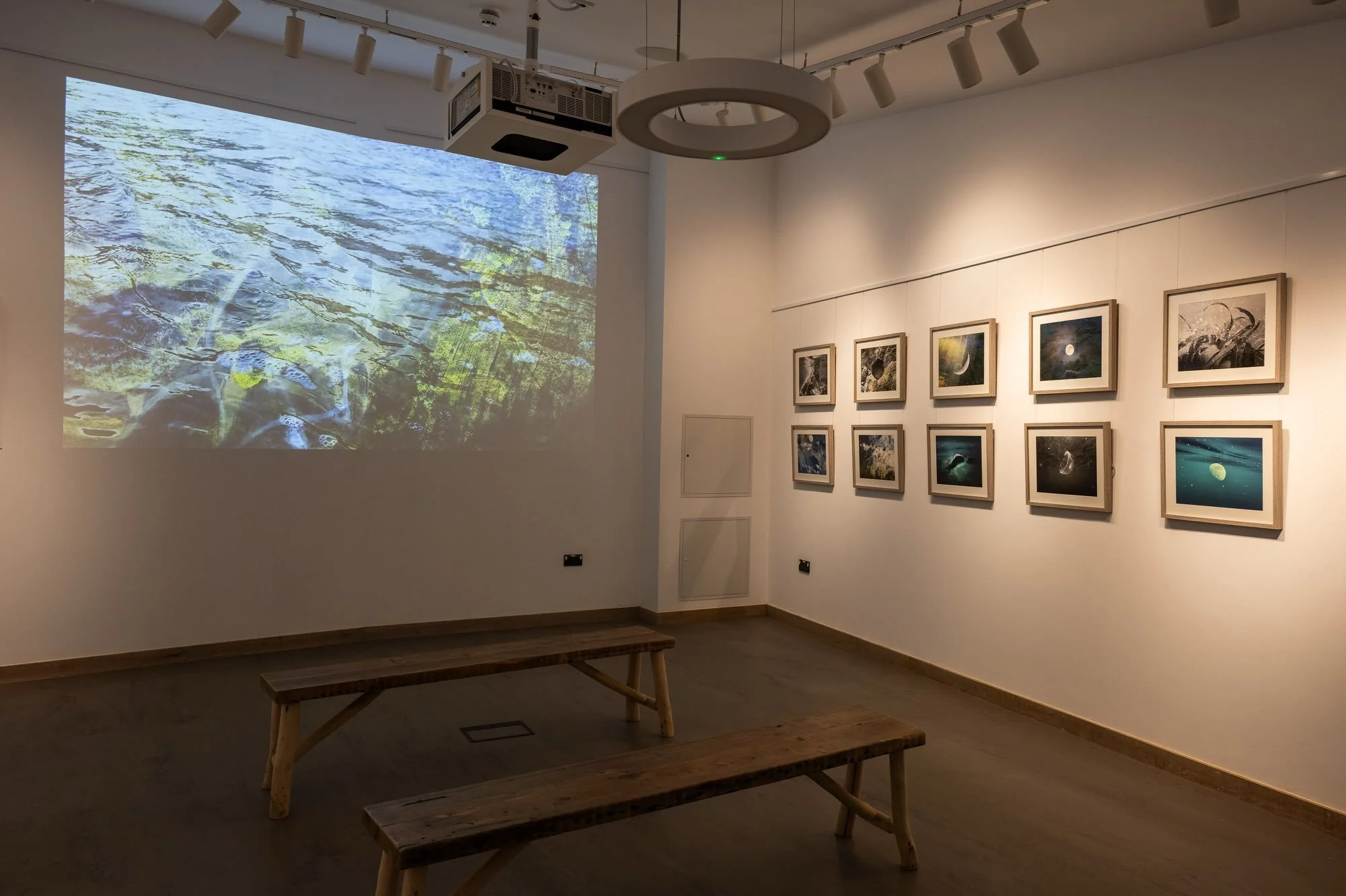 Ancient Sea, Carolyn Lefley
19 August &ndash; 13 September 2026
Ham Hill Visitor Centre

This exhibition marks a particularly meaningful full-circle moment in my practice. Ancient Sea&nbsp;was originally created in 2022 in response to the geology and