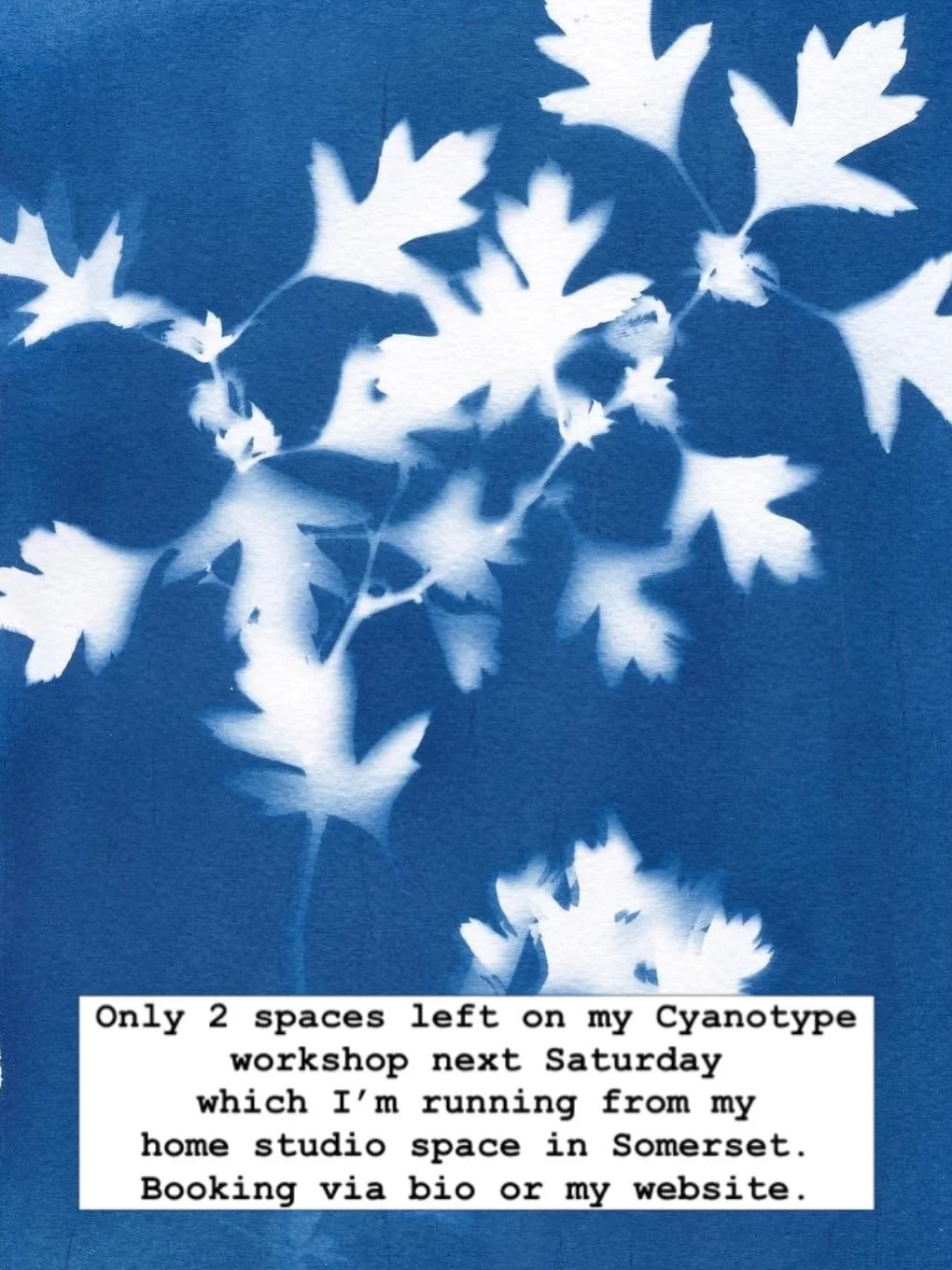 Cyanotype Printing WorkshopSaturday 19th September, 10-1, &pound;55Stoke sub Hamdon, Somerset Discover the beautiful blue world of cyanotype, one of photography&rsquo;s oldest alternative processes. In this relaxed, hands-on workshop, you&rsquo;l