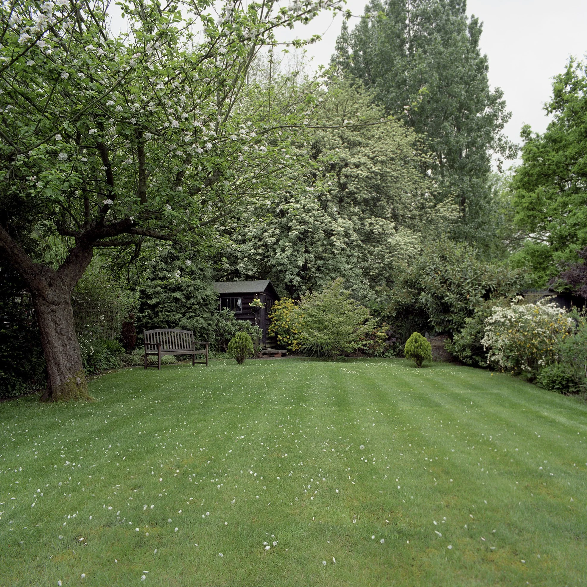 39garden copy.jpg