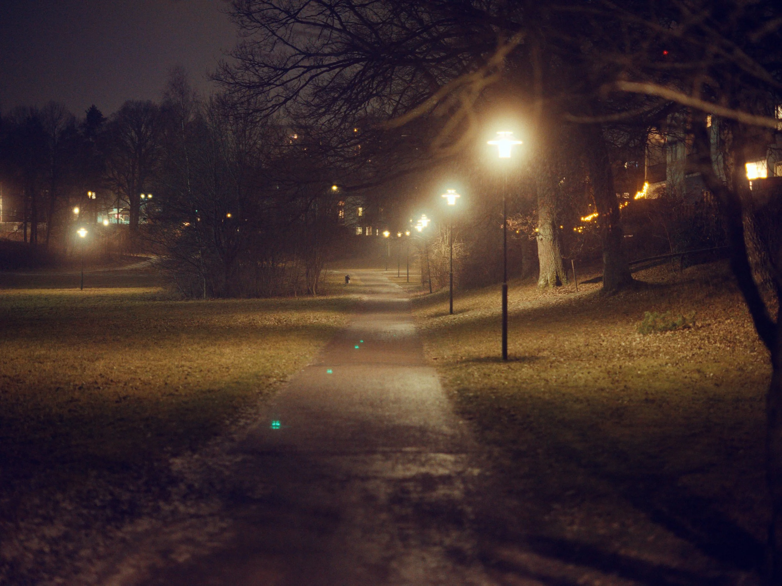 250312_TNOM__0416.jpg