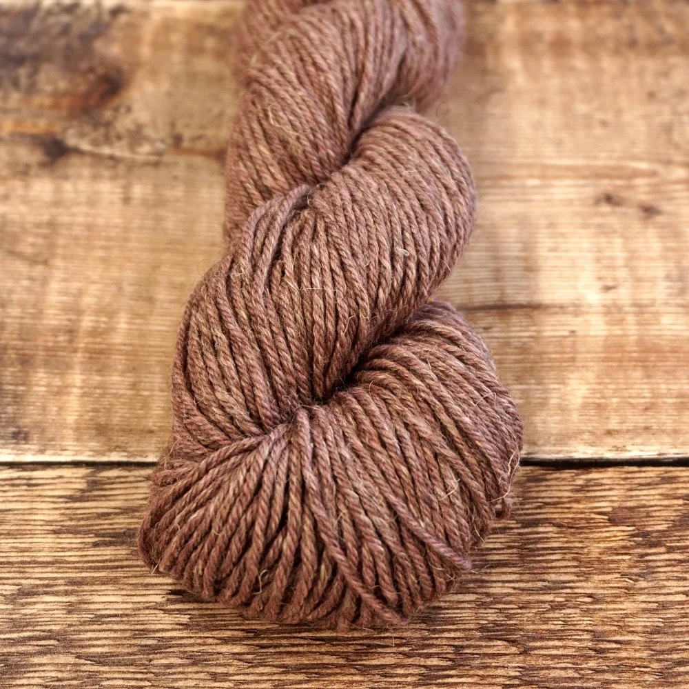 9906 Cerebellum