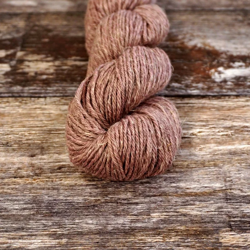 9817 Cerebellum