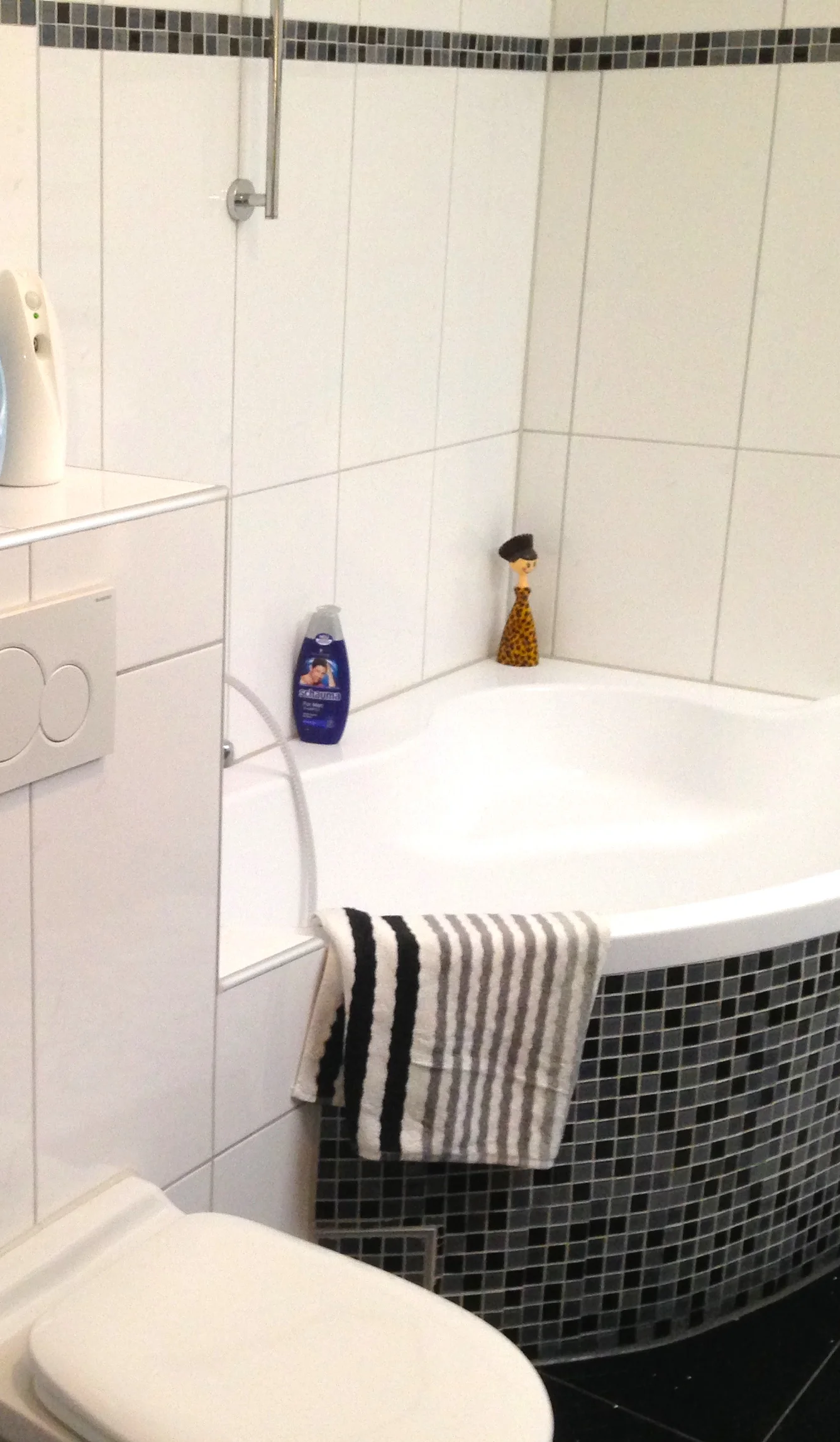 IMG_0256 germantilemaster.JPG