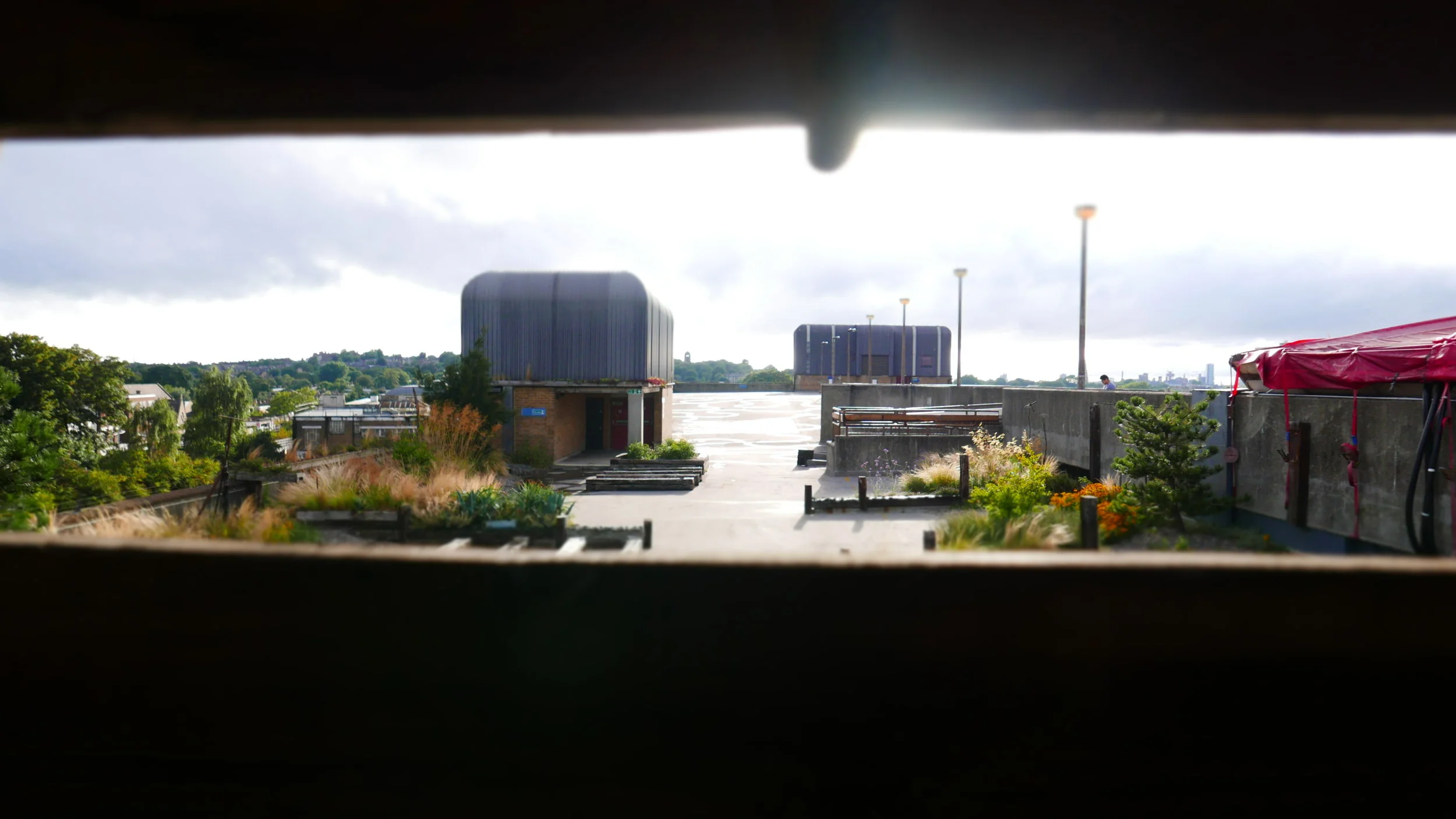 P1220175.JPG