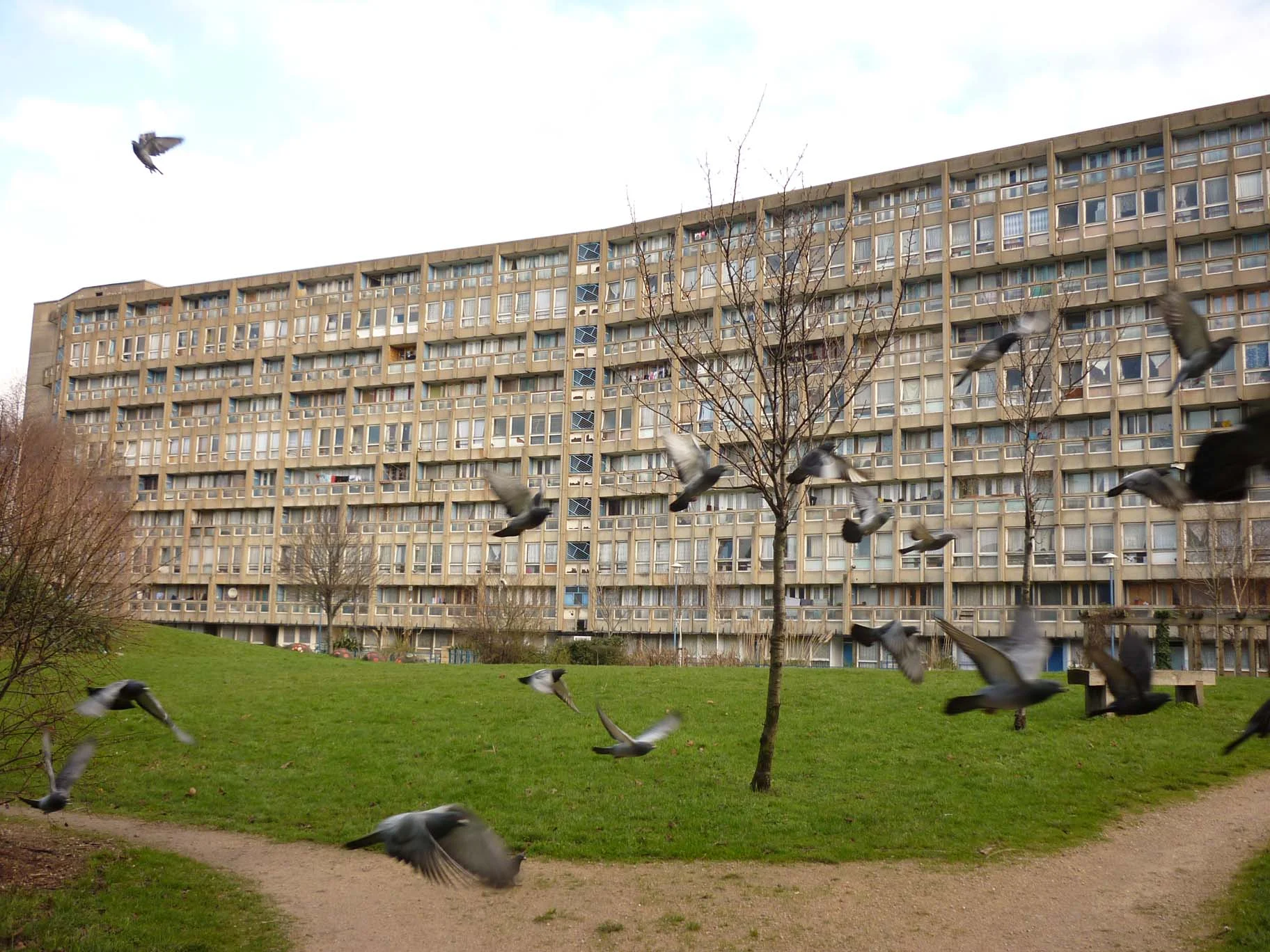P1020140.JPG