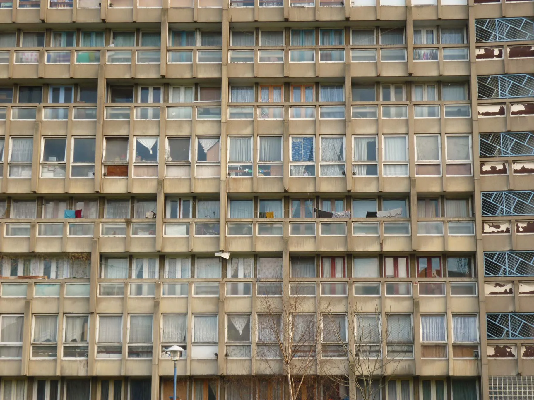 P1020142.JPG
