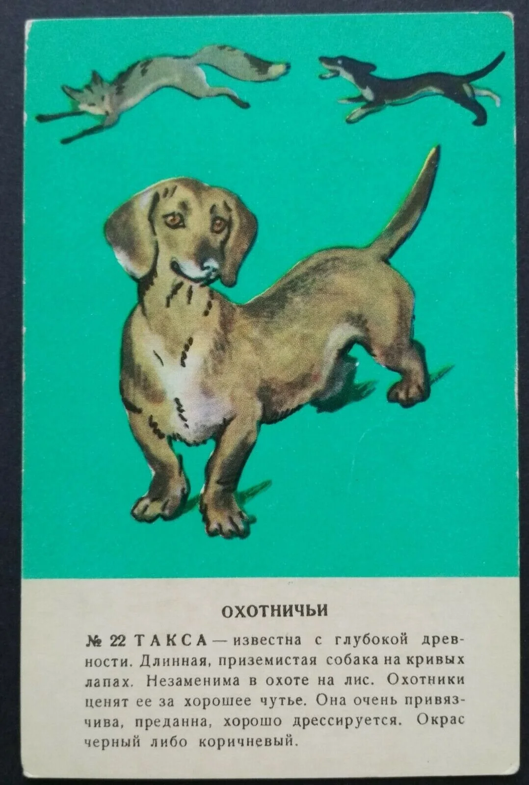 and this postcard from the USSR. Need we say more…