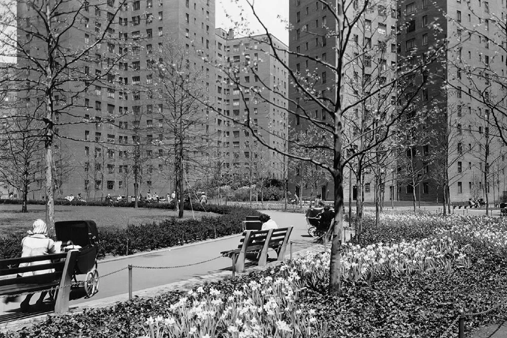 Stuyvesant Town in the 1960s