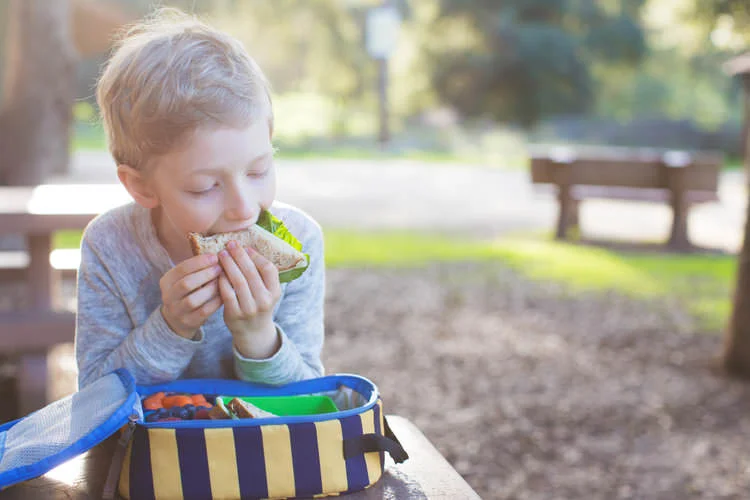 hungry child eating a sandwich boxed lunch.jpg