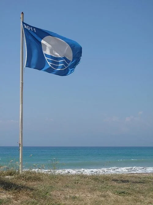 blueflag.jpg